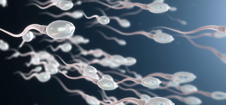 Sperm Sayısı